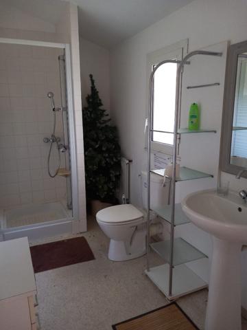 MAISON MEUBLEE T6 - JARDIN