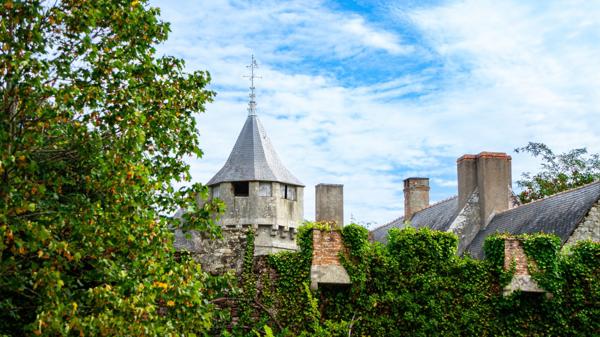Vente Propriété de luxe La Baule 14 Pièces 658 m²