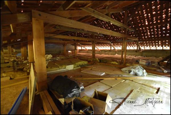 Ensemble immobilier, 140 m² habitables, deux maison, trois dépendances en pierre et 3.5 hectares de terrain.