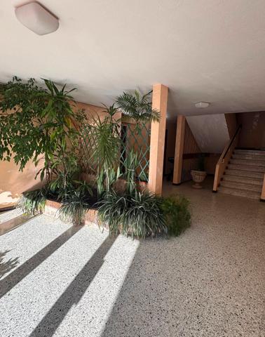 Draguignan (83300) DRAGUIGNAN Grand appartement avec balcon à louer MEUBLÉ.