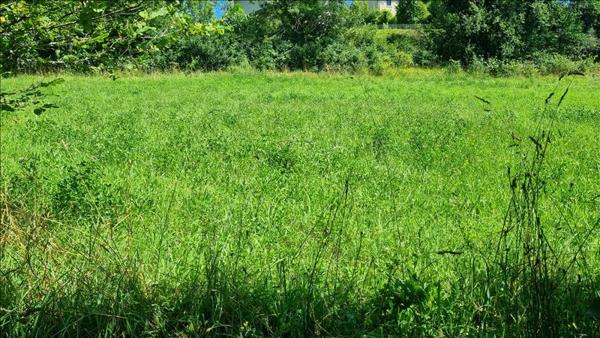 Terrain à vendre |  Livinhac-le-Haut |  1065 m²