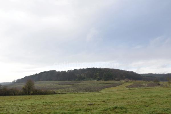 Maison familiale T6 avec terrasse sud-ouest et terrain clos – Proche Nuits Saint-Georges
