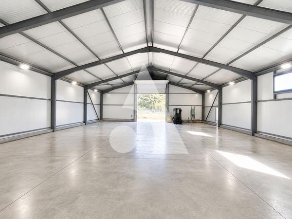 Entrepôt / Local industriel 300 m2