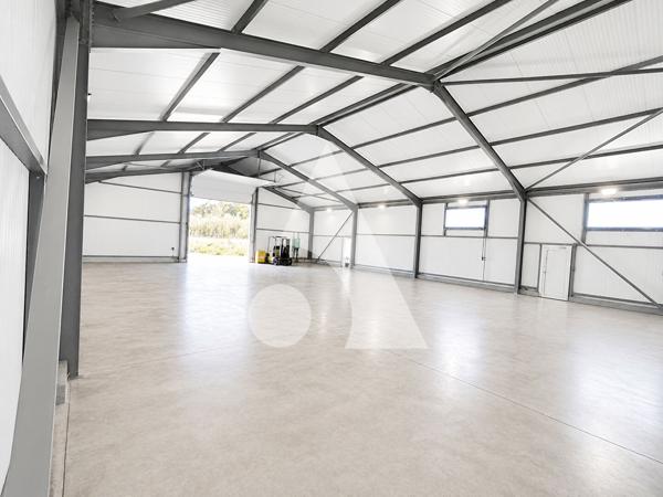 Entrepôt / Local industriel 300 m2
