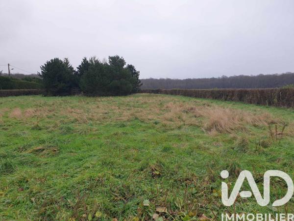 Terrain à vendre 2 784 m² Beaumont-le-Roger