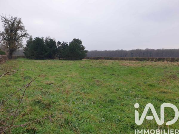 Terrain à vendre 2 784 m² Beaumont-le-Roger