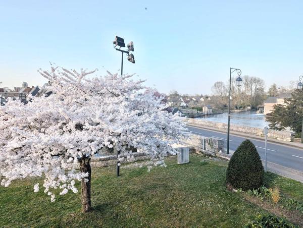 Charmante maison d’environ 55 m² avec Une vue exceptionnelle sur le château et le Loir