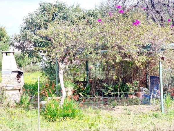 Dpt HAUTE Corse (20), à vendre SAN NICOLAO maison plain pied avec terrain/jardin garage