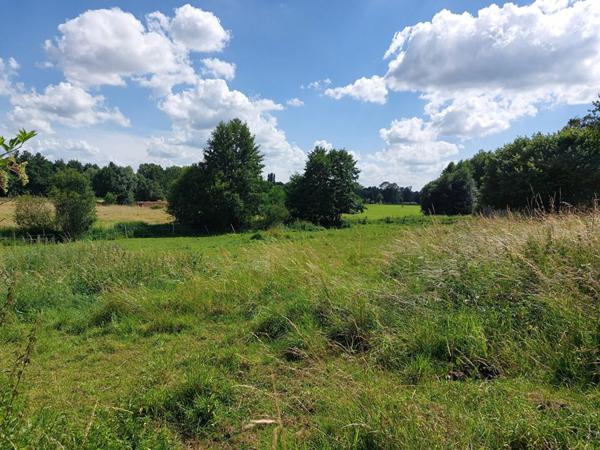 Terrain à vendre    Bazoches-sur-Hoëne