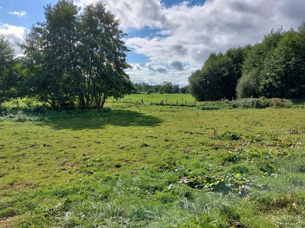 Terrain à vendre    Bazoches-sur-Hoëne