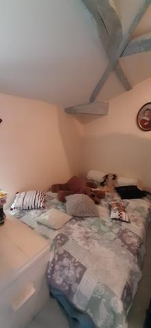 Maison en pierre de 153 m²  4 CH , terrain  clos 1862 m² - GIRONDE (33) - NOUVELLE AQUITAINE