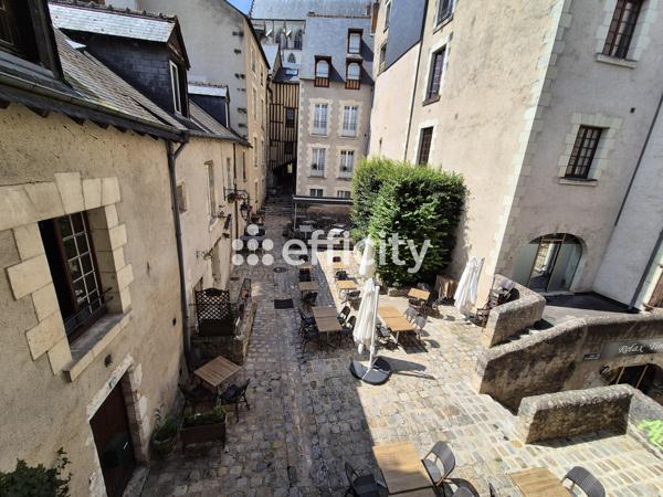 Appartement 1 pièce - 36 m² Exclusivité efficity