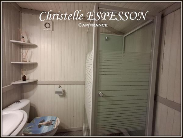 MAISON A VENDRE 7 PIECES 180 M2 AVEC UN GITE 35 M2 ET PISCINE SUR CASTELJALOUX (47)