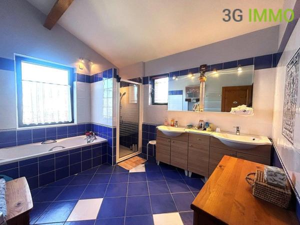Vente / Maison T6+ à Gaillac (81600)