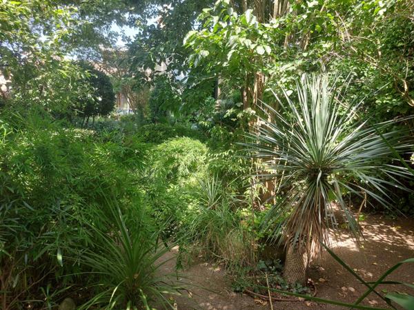 QUARTIER SAINT MICHEL. Maison à vendre 4 pièces MONTAUBAN (82) avec dépendance aménageable et jardin cloturé.