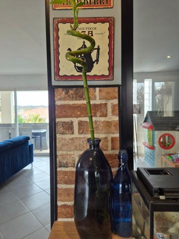 MARSSAC, GRANDE MAISON DE 170M2 AVEC PISCINE