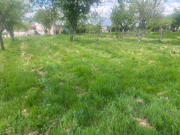 Terrain Constructible