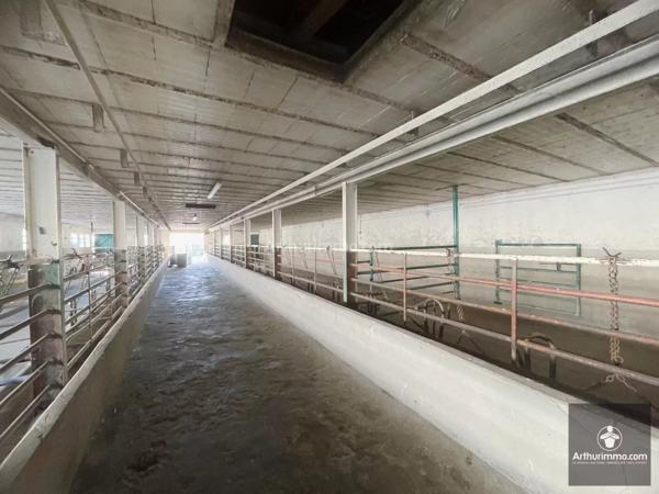 Vente Fonds de commerce 11 pièces 269 m2 à Le Coteau