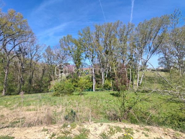 Toulousaine de 227 m²