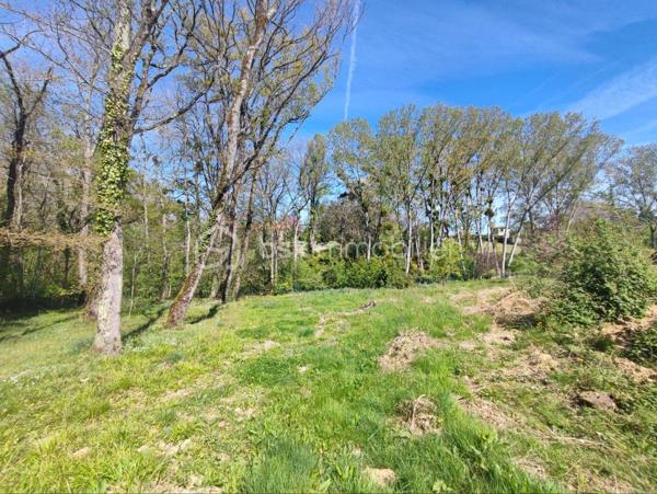 Toulousaine de 227 m²