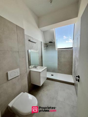 Loft industriel T4 neuf 182m², terrasse 46m², piscine, centre-ville