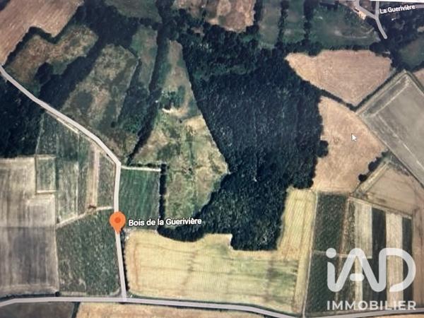 Terrain à vendre 7 264 m² Saint-Lumine-de-Clisson