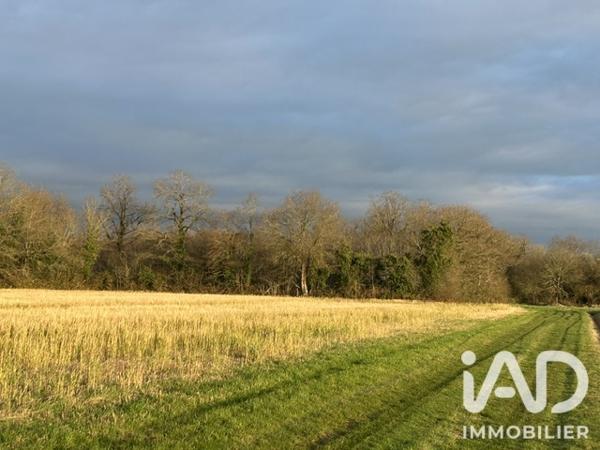 Terrain à vendre 7 264 m² Saint-Lumine-de-Clisson