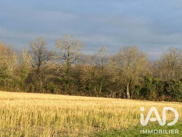 Terrain à vendre 7 264 m² Saint-Lumine-de-Clisson