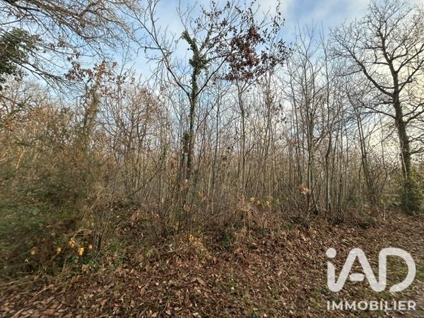 Terrain à vendre 7 264 m² Saint-Lumine-de-Clisson