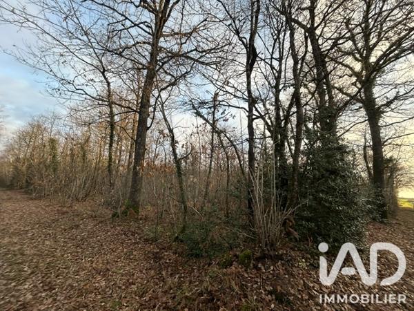 Terrain à vendre 7 264 m² Saint-Lumine-de-Clisson