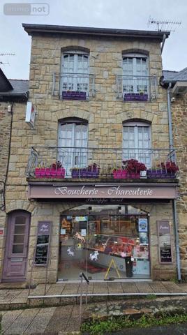 Local mixte (Professionnel/Habitation) à vendre à Lamballe-Armor dans les Côtes-d'Armor (22400), ref : 025/2586   
Saint-Martin