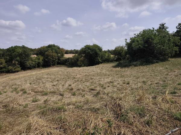 FERMETTE ISOLEE AVEC 7 HECTARES ET PISCINE