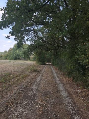 FERMETTE ISOLEE AVEC 7 HECTARES ET PISCINE