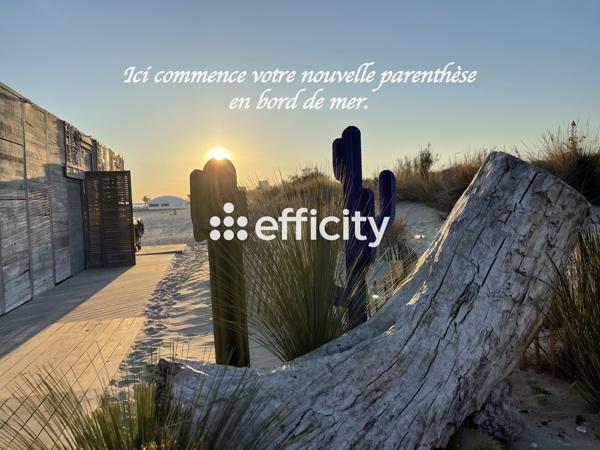 Appartement 3 pièces - 67 m² Exclusivité efficity