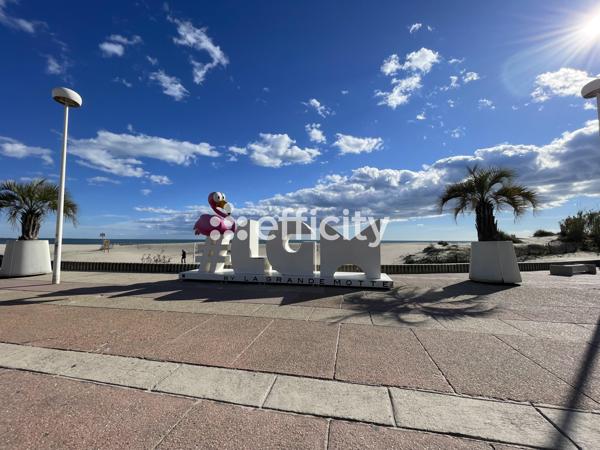 Appartement 3 pièces - 67 m² Exclusivité efficity