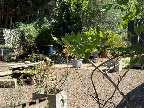 Bureaux en zone artisanale - LUCON