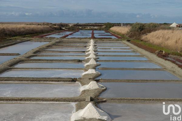 Commercial for sale 34 m² Saint-Martin-de-Ré