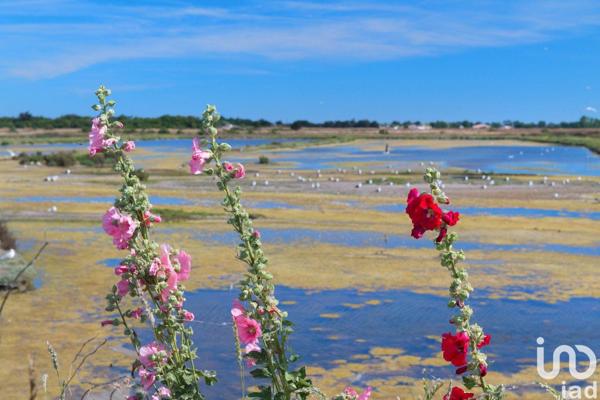 Commercial for sale 34 m² Saint-Martin-de-Ré