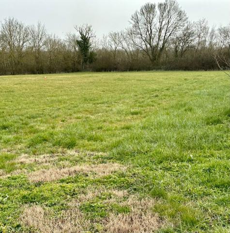 Proche Aigrefeuille d'Aunis