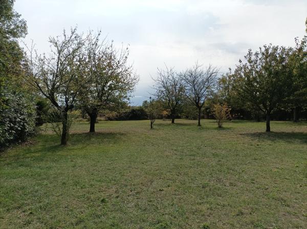 Maison ville, 4100 m² terrain