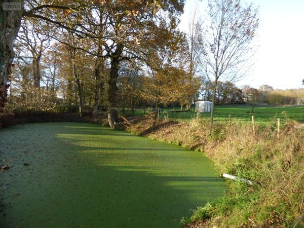 Maison à vendre à Crevin en Ille-et-Vilaine (35320), ref : 136/4994