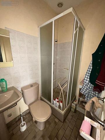 Maison à vendre à La Châtre dans l'Indre (36400), ref : 2457