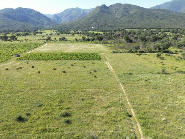 Vente / Terrain agricole