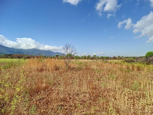 Vente / Terrain agricole