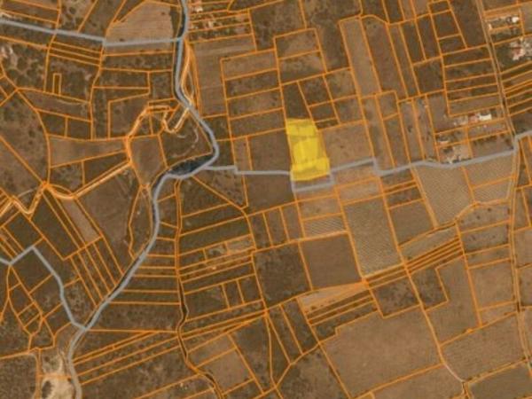 Vente / Terrain agricole