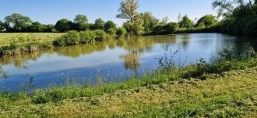 Terrain de loisirs - Bois - Etang à vendre à Entrammes en Mayenne (53260), ref : 53005-2091