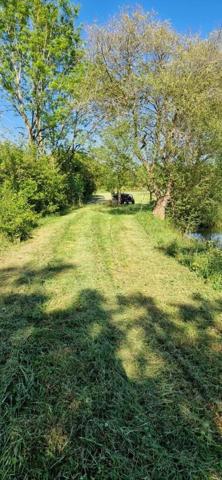 Terrain de loisirs - Bois - Etang à vendre à Entrammes en Mayenne (53260), ref : 53005-2091