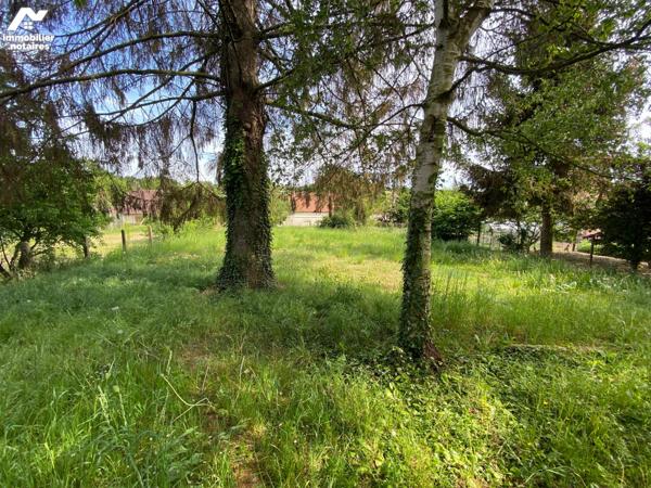 MIRAUMONT - MAISON - 3-4 CHAMBRES - DEPENDANCE