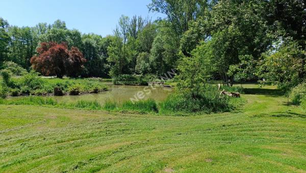 Maison de campagne rénovée avec étang entre aux portes de Bergerac en direction de Périgueux !