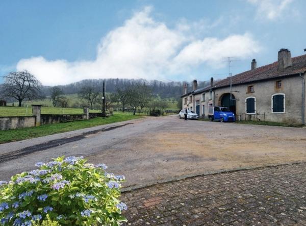 Proche VEZELISE (54) 2 maisons de village avec dépendances à rénover / 1000 m2 env Terrain